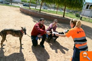Paiporta repartirá miles de trípticos, bolsas y cajas para concienciar a la población y contribuir a la recogida de excrementos de mascotas - (foto 4)
